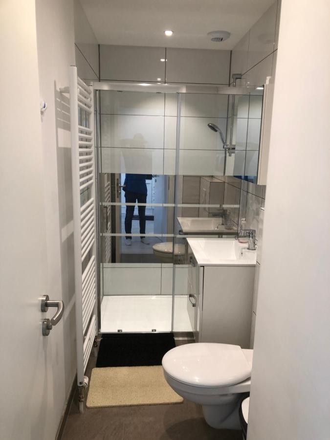 Appartement Willa Chez Willi Niederschaeffolsheim ภายนอก รูปภาพ